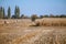 Hay bail harvesting in wonderful autumn farmers field landscape with hay stacks