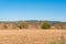 Hay bail truck crossing near dry hay field clear cut path warm color bulgaria rural landscape sun day clear blue sky