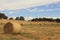 Hay bails in farm landscape