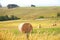 Hay bails with farm landscape and blue sky