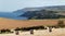 Hay bails on Scottish Coast