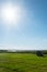 Hay bale. Agriculture field with sky.