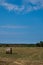 Hay bale. Agriculture field with sky. Grain crop, harvesting.
