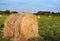 Hay bale. Agriculture field with sky. Rural nature in the farm land