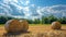 Hay bale. Agriculture field with sky. Rural nature in the farm land. Straw on the meadow. Wheat yellow golden harvest in