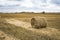 Hay bale. Agriculture field with sky. Rural nature in the farm land. Straw on the meadow. Wheat yellow golden harvest in summer. C