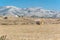 Hay bale countryside landscape