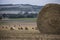 Hay bale countryside landscapes