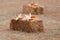 Hay bale decorated with pumpkins and corn