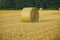 Hay bale dry on field, agriculture