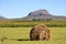 Hay bale  in a green and sunflower field background