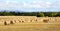 Hay bale harvesting in golden field landscape panoramic