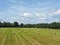 Hay Bale Landscape