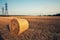 Hay bale in a roll on a mowed field.