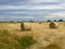 Hay bale rolled round straw in field background with cloudy sky and copy space