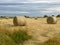 Hay bale rolled round straw in field background with cloudy sky and copy space