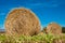 Hay bale rolls in a green field