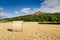 Hay bale at Roseberry Topping
