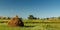 Hay bale on a rural field