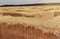 Hay in a bale in a sunny day close-up. Food product for farm animals, farming concept