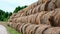Hay in a bale in a sunny day. Food product for farm animals, farming concept