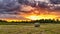 Hay bale at sunset. Sun rays filling up the sky