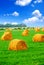 Hay bales