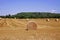 Hay Bales