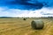 Hay bales