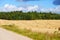 Hay bales. Agriculture field with cloudy sky