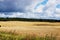 Hay bales. Agriculture field with cloudy sky and sunny day