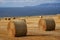 Hay bales in autumn sunshine in Caithness, Scotland, UK