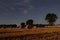 Hay bales at the background of the starry sky. Rural landscape. Harvest