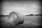 Hay bales (black and white)