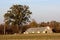 Hay in bales covered with nylon under tall tree