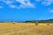 Hay bales, by Cowbar Nabb, Staithes, Yorkshire Moors, England