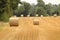 Hay bales croped and rolled