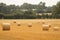 Hay bales croped and rolled