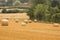 Hay bales croped and rolled