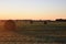 Hay bales in dawns early light