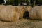 The hay bales are drying in the field.