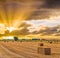 Hay bales drying in Italian country fields