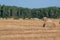 Hay Bales after fall harvest on the Canadian Prairies