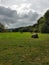 Hay bales in a farm field in rural Sussex, England.