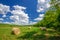 Hay bales on the farmfield near the forest, Hungary