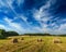 Hay bales on field