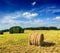 Hay bales on field