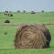 Hay Bales in a field