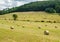 Hay Bales in the Field
