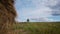 Hay bales field against lone tree